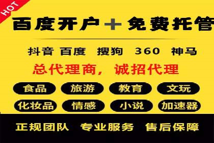 百度SEO推广：从零到一的成长案例